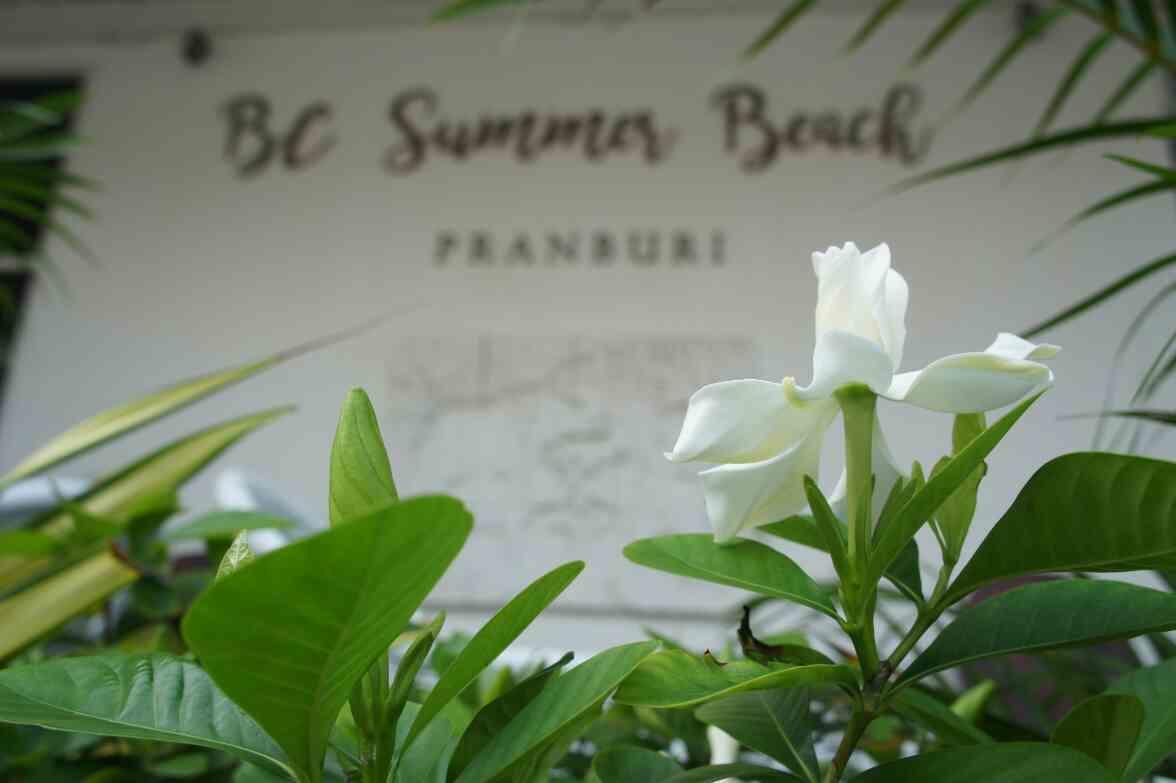 Bc Summer Beach Pran Buri Zewnętrze zdjęcie